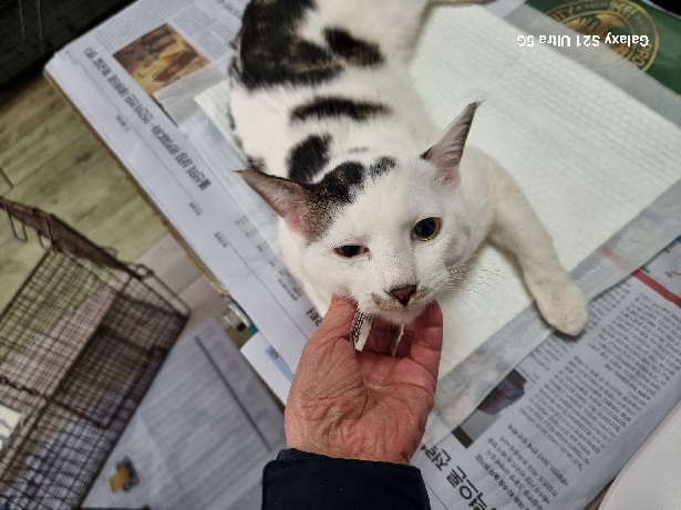 공고번호 : 인천-미추홀-2026-00023